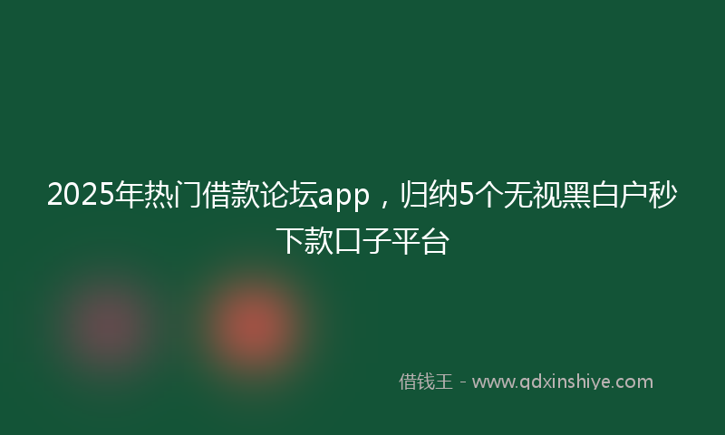 2025年热门借款论坛app，归纳5个无视黑白户秒下款口子平台