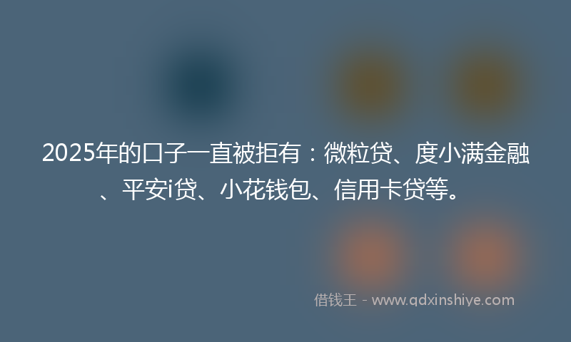 2025年的口子一直被拒有：微粒贷、度小满金融、平安i贷、小花钱包、信用卡贷等。