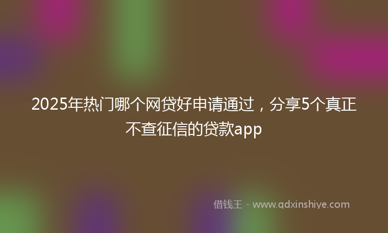 2025年热门哪个网贷好申请通过，分享5个真正不查征信的贷款app