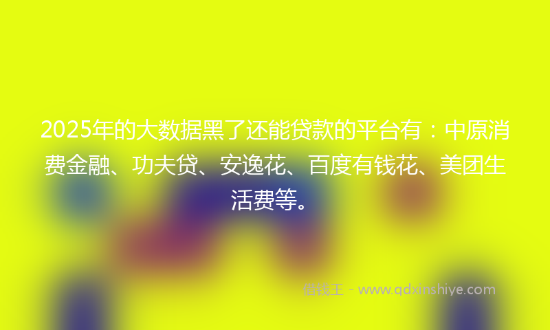 2025年的大数据黑了还能贷款的平台有：中原消费金融、功夫贷、安逸花、百度有钱花、美团生活费等。