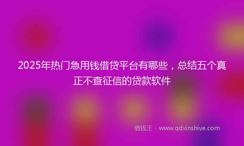2025年热门急用钱借贷平台有哪些，总结五个真正不查征信的贷款软件