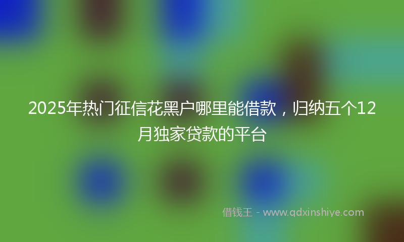 2025年热门征信花黑户哪里能借款，归纳五个12月独家贷款的平台
