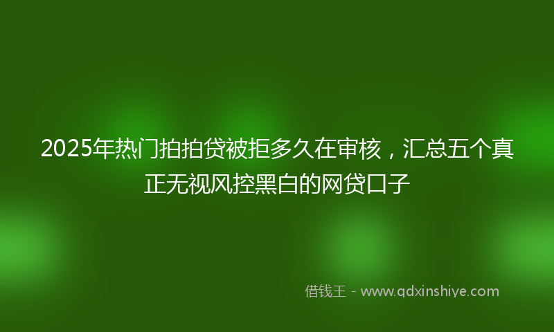 2025年热门拍拍贷被拒多久在审核，汇总五个真正无视风控黑白的网贷口子