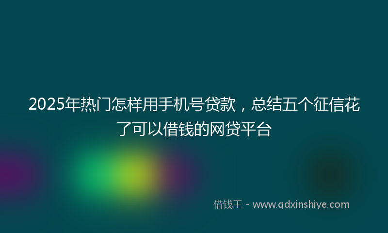 2025年热门怎样用手机号贷款，总结五个征信花了可以借钱的网贷平台