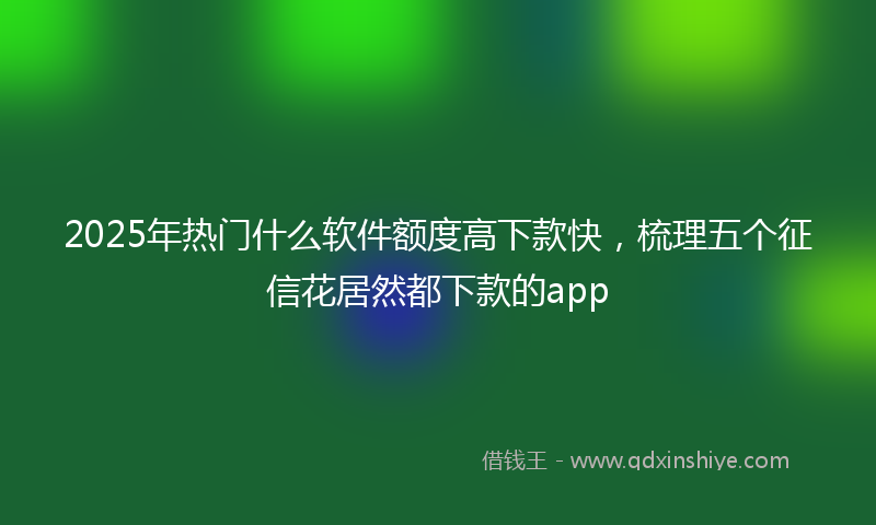 2025年热门什么软件额度高下款快，梳理五个征信花居然都下款的app
