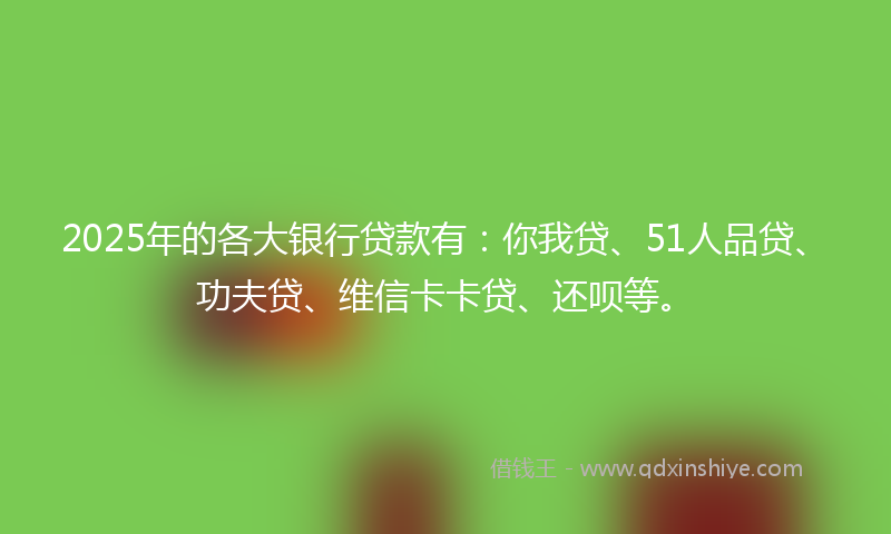2025年的各大银行贷款有：你我贷、51人品贷、功夫贷、维信卡卡贷、还呗等。