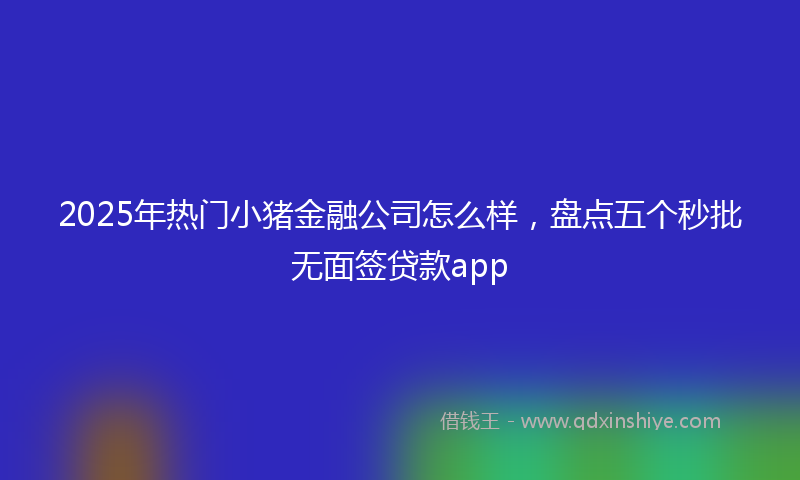2025年热门小猪金融公司怎么样，盘点五个秒批无面签贷款app