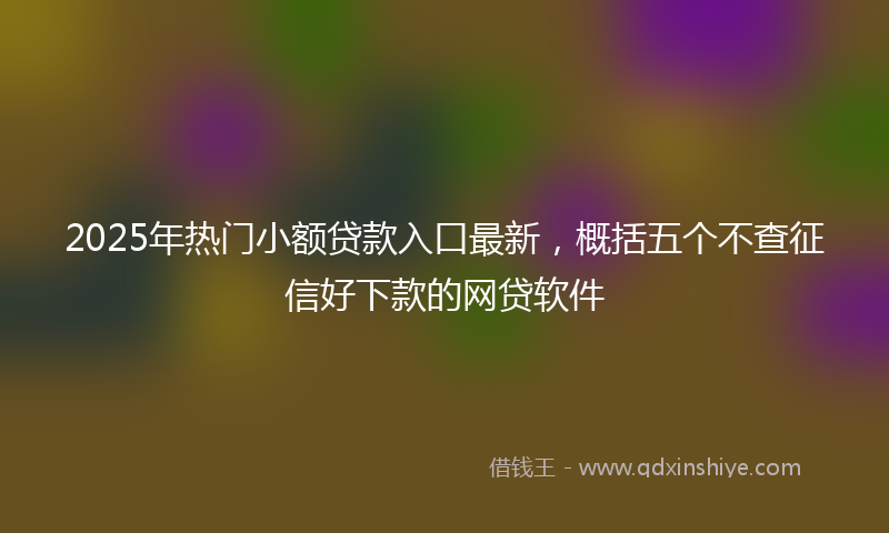 2025年热门小额贷款入口最新，概括五个不查征信好下款的网贷软件
