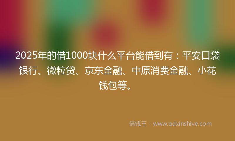 2025年的借1000块什么平台能借到有：平安口袋银行、微粒贷、京东金融、中原消费金融、小花钱包等。