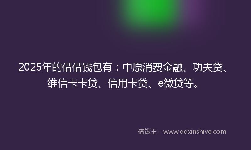 2025年的借借钱包有：中原消费金融、功夫贷、维信卡卡贷、信用卡贷、e微贷等。