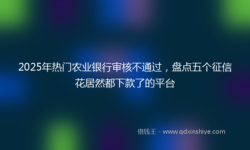 2025年热门农业银行审核不通过，盘点五个征信花居然都下款了的平台
