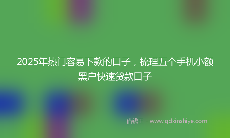 2025年热门容易下款的口子，梳理五个手机小额黑户快速贷款口子