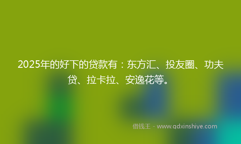 2025年的好下的贷款有：东方汇、投友圈、功夫贷、拉卡拉、安逸花等。