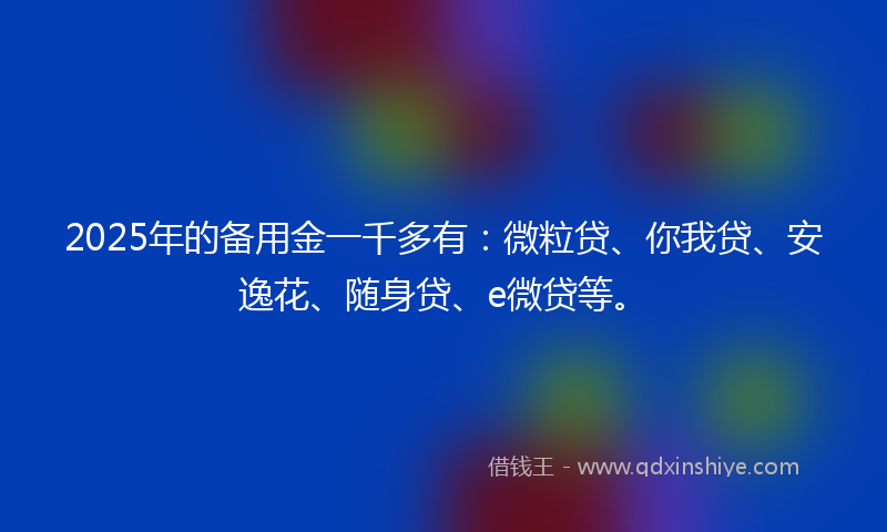 2025年的备用金一千多有：微粒贷、你我贷、安逸花、随身贷、e微贷等。