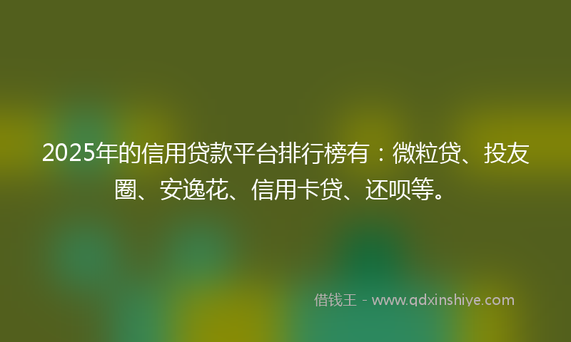 2025年的信用贷款平台排行榜有：微粒贷、投友圈、安逸花、信用卡贷、还呗等。