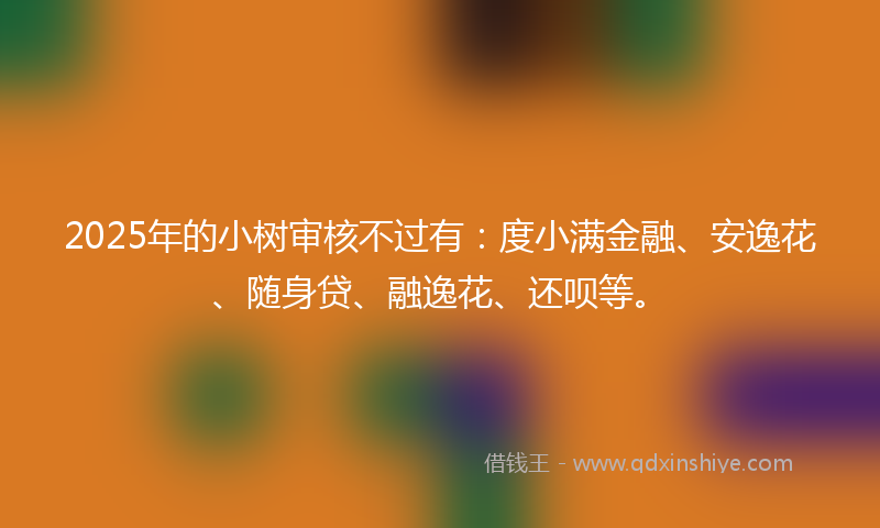 2025年的小树审核不过有：度小满金融、安逸花、随身贷、融逸花、还呗等。