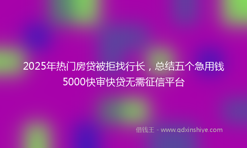 2025年热门房贷被拒找行长，总结五个急用钱5000快审快贷无需征信平台