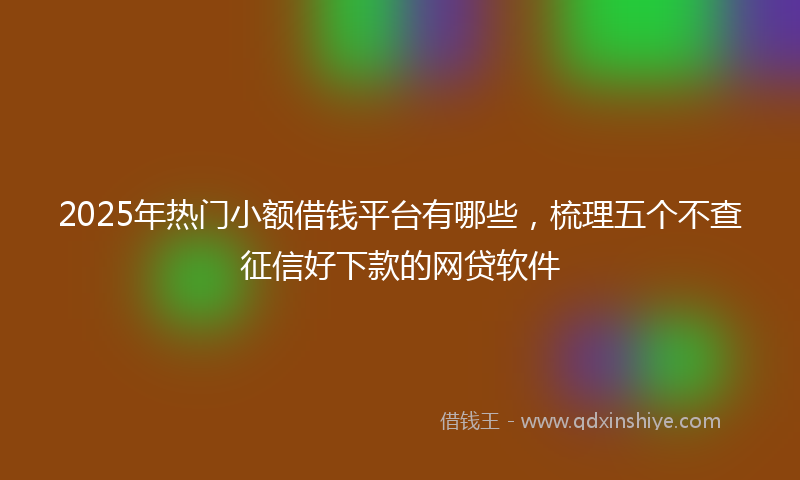 2025年热门小额借钱平台有哪些，梳理五个不查征信好下款的网贷软件