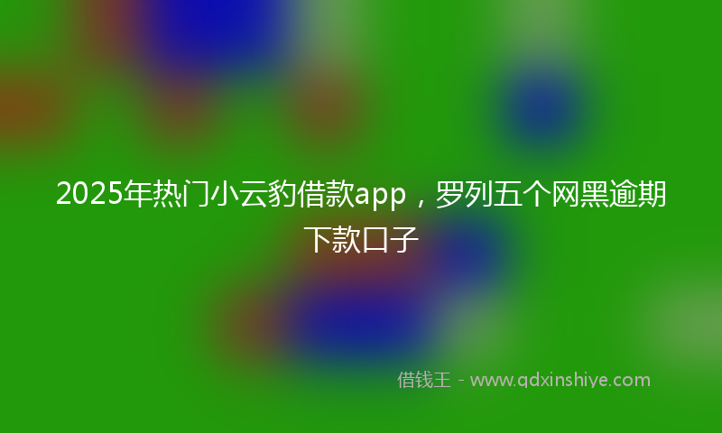 2025年热门小云豹借款app，罗列五个网黑逾期下款口子