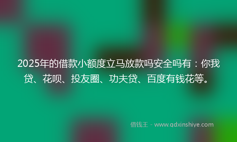 2025年的借款小额度立马放款吗安全吗有：你我贷、花呗、投友圈、功夫贷、百度有钱花等。