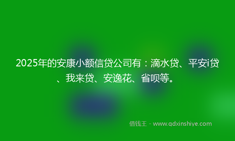 2025年的安康小额信贷公司有：滴水贷、平安i贷、我来贷、安逸花、省呗等。