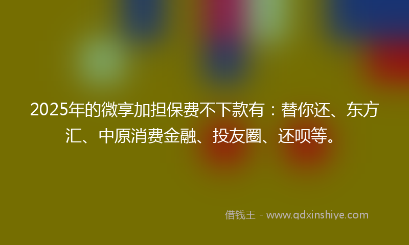 2025年的微享加担保费不下款有：替你还、东方汇、中原消费金融、投友圈、还呗等。