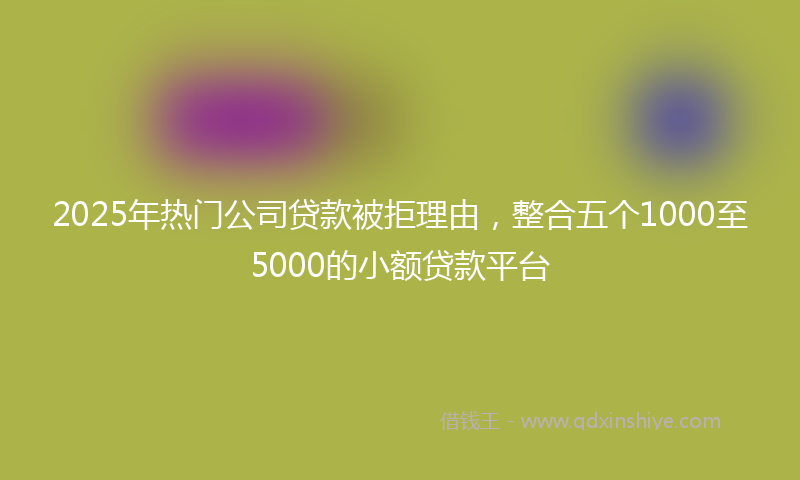 2025年热门公司贷款被拒理由，整合五个1000至5000的小额贷款平台