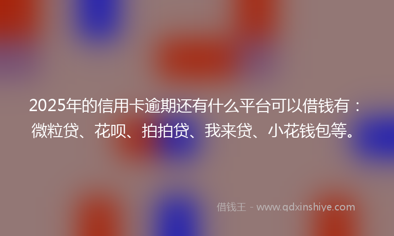 2025年的信用卡逾期还有什么平台可以借钱有：微粒贷、花呗、拍拍贷、我来贷、小花钱包等。