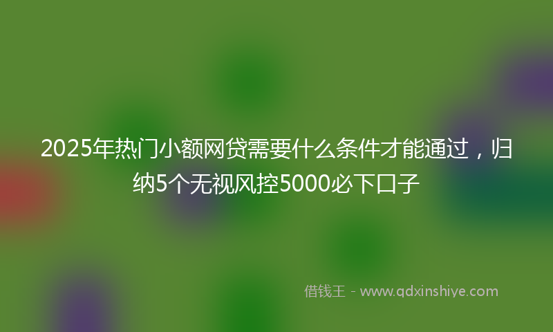 2025年热门小额网贷需要什么条件才能通过，归纳5个无视风控5000必下口子