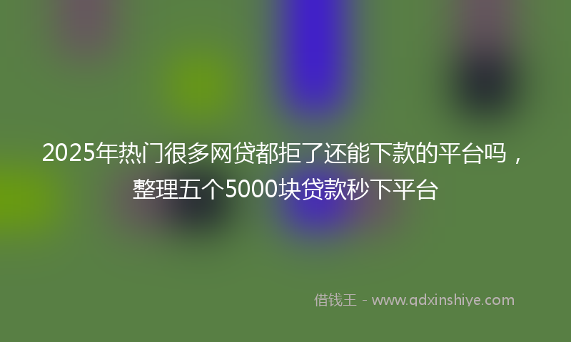 2025年热门很多网贷都拒了还能下款的平台吗，整理五个5000块贷款秒下平台