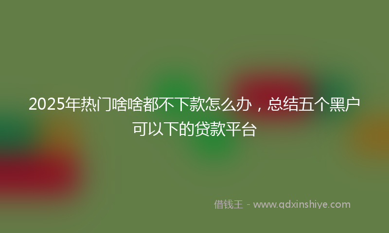 2025年热门啥啥都不下款怎么办，总结五个黑户可以下的贷款平台