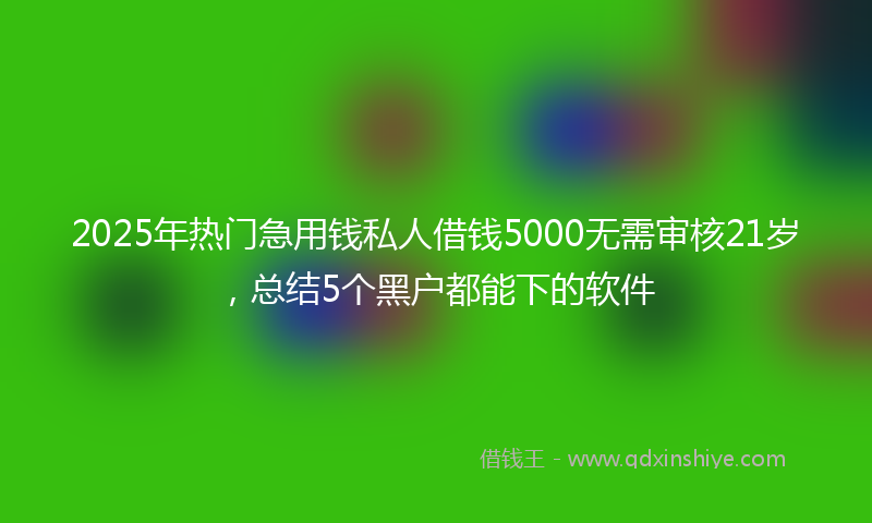 2025年热门急用钱私人借钱5000无需审核21岁，总结5个黑户都能下的软件