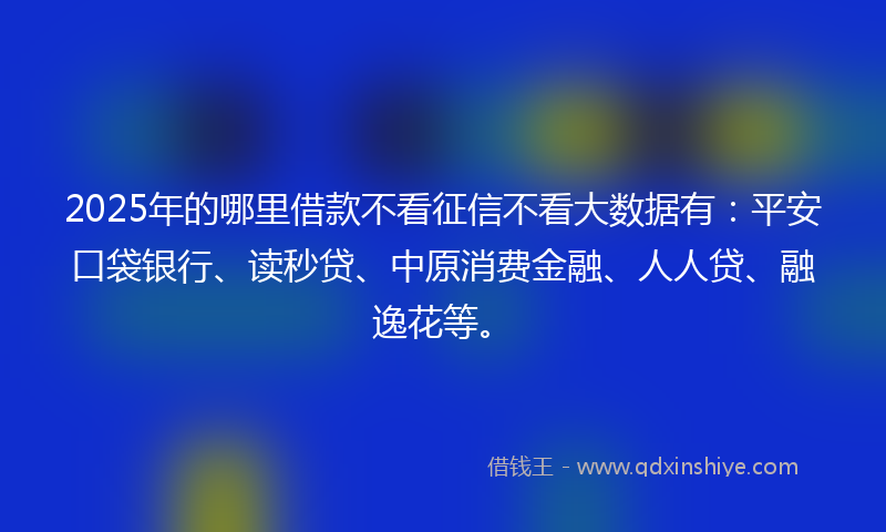 2025年的哪里借款不看征信不看大数据有：平安口袋银行、读秒贷、中原消费金融、人人贷、融逸花等。