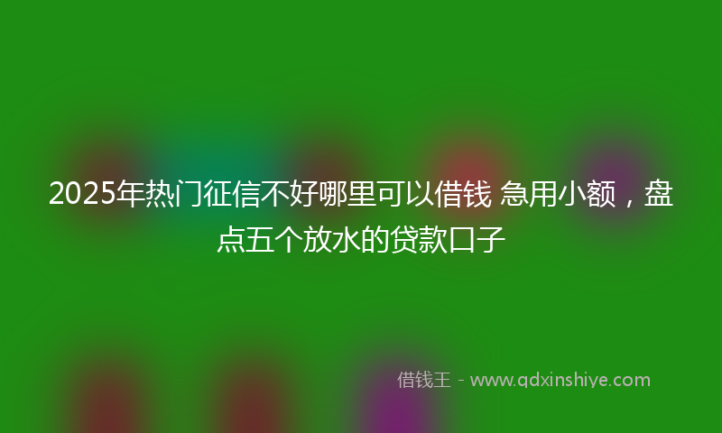 2025年热门征信不好哪里可以借钱 急用小额，盘点五个放水的贷款口子