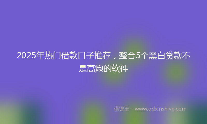 2025年热门借款口子推荐，整合5个黑白贷款不是高炮的软件