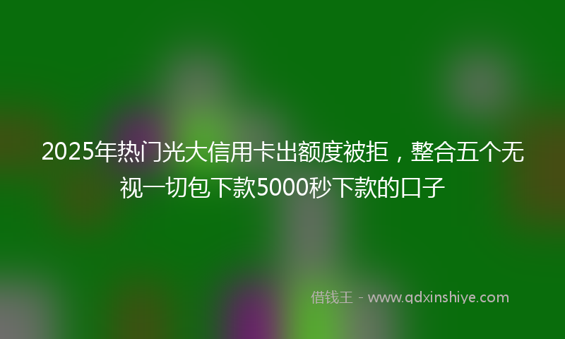 2025年热门光大信用卡出额度被拒，整合五个无视一切包下款5000秒下款的口子