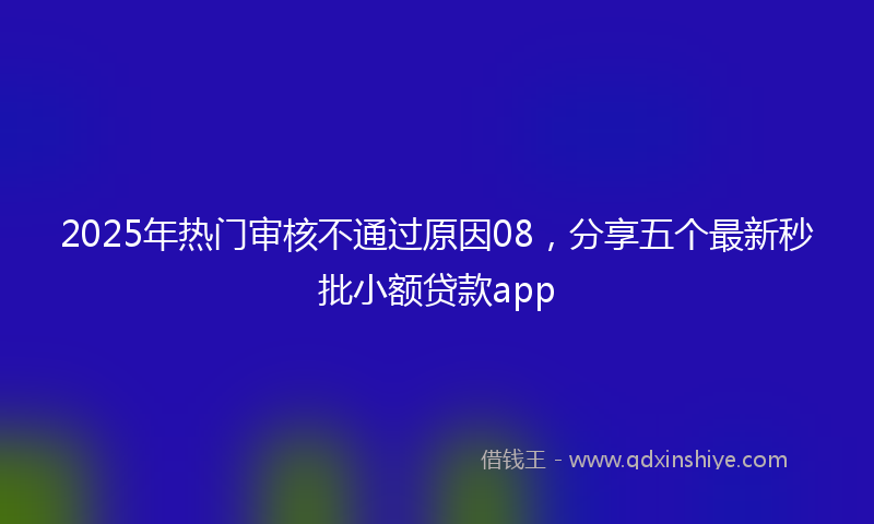 2025年热门审核不通过原因08，分享五个最新秒批小额贷款app