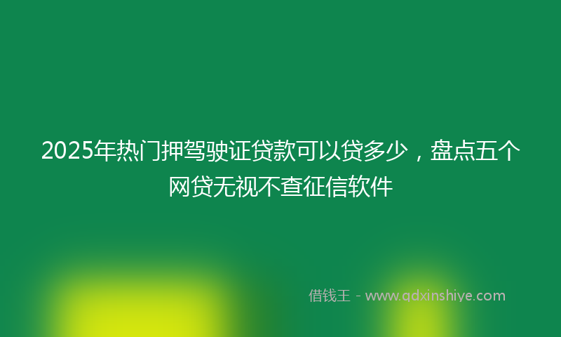 2025年热门押驾驶证贷款可以贷多少，盘点五个网贷无视不查征信软件