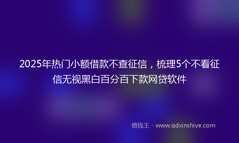 2025年热门小额借款不查征信，梳理5个不看征信无视黑白百分百下款网贷软件