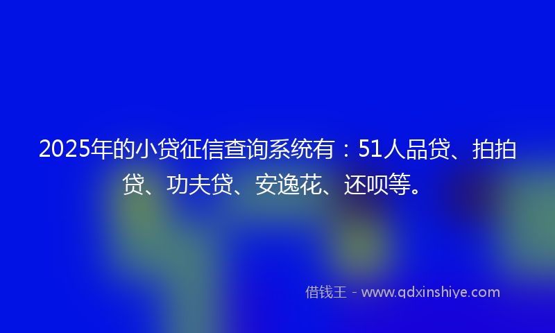 2025年的小贷征信查询系统有：51人品贷、拍拍贷、功夫贷、安逸花、还呗等。