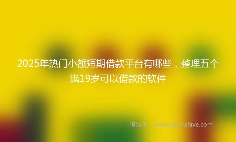 2025年热门小额短期借款平台有哪些，整理五个满19岁可以借款的软件