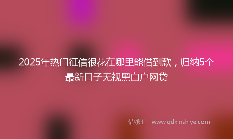 2025年热门征信很花在哪里能借到款，归纳5个最新口子无视黑白户网贷