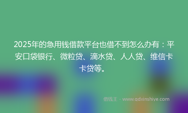 2025年的急用钱借款平台也借不到怎么办有：平安口袋银行、微粒贷、滴水贷、人人贷、维信卡卡贷等。