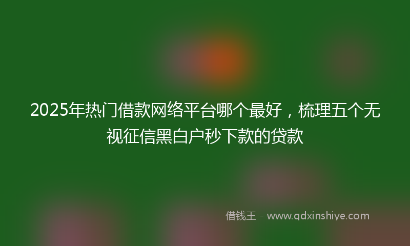 2025年热门借款网络平台哪个最好，梳理五个无视征信黑白户秒下款的贷款
