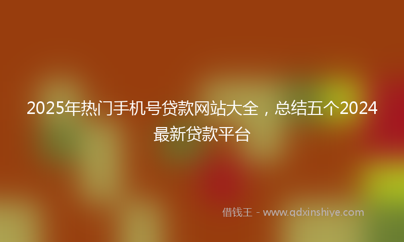 2025年热门手机号贷款网站大全，总结五个2024最新贷款平台