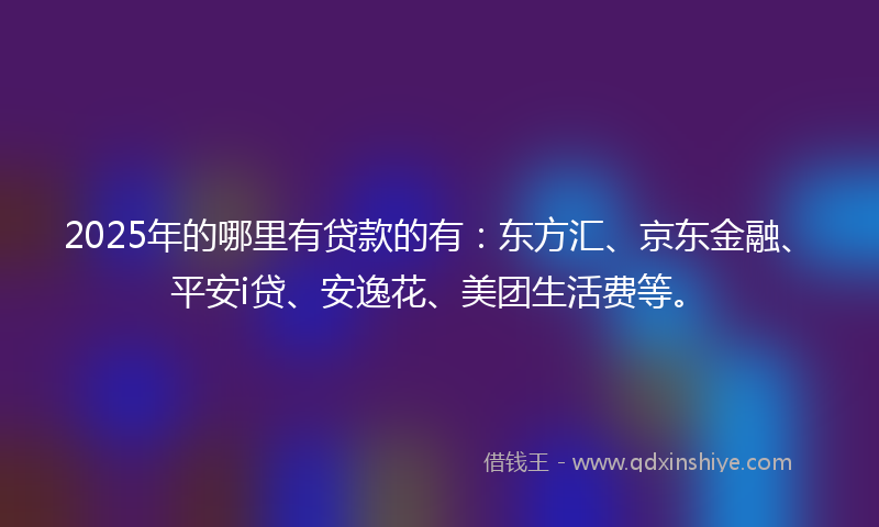 2025年的哪里有贷款的有：东方汇、京东金融、平安i贷、安逸花、美团生活费等。