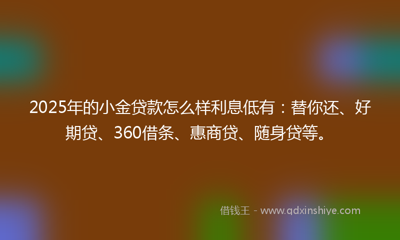 2025年的小金贷款怎么样利息低有：替你还、好期贷、360借条、惠商贷、随身贷等。
