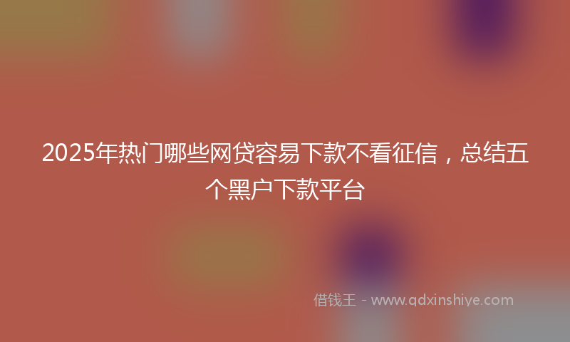 2025年热门哪些网贷容易下款不看征信，总结五个黑户下款平台
