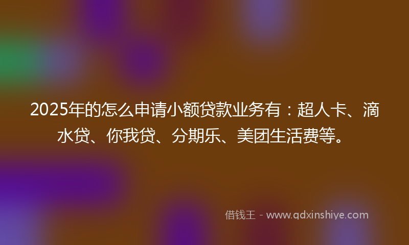 2025年的怎么申请小额贷款业务有：超人卡、滴水贷、你我贷、分期乐、美团生活费等。