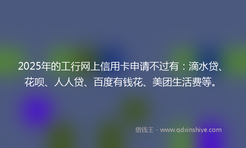 2025年的工行网上信用卡申请不过有：滴水贷、花呗、人人贷、百度有钱花、美团生活费等。
